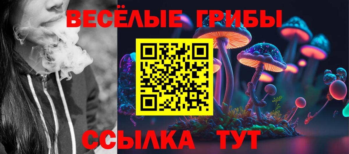 Галлюциногенные грибы Magic Shrooms  Вход с VPN  Галлюциногенные грибы GOLDEN TEACHER  Вязьма 